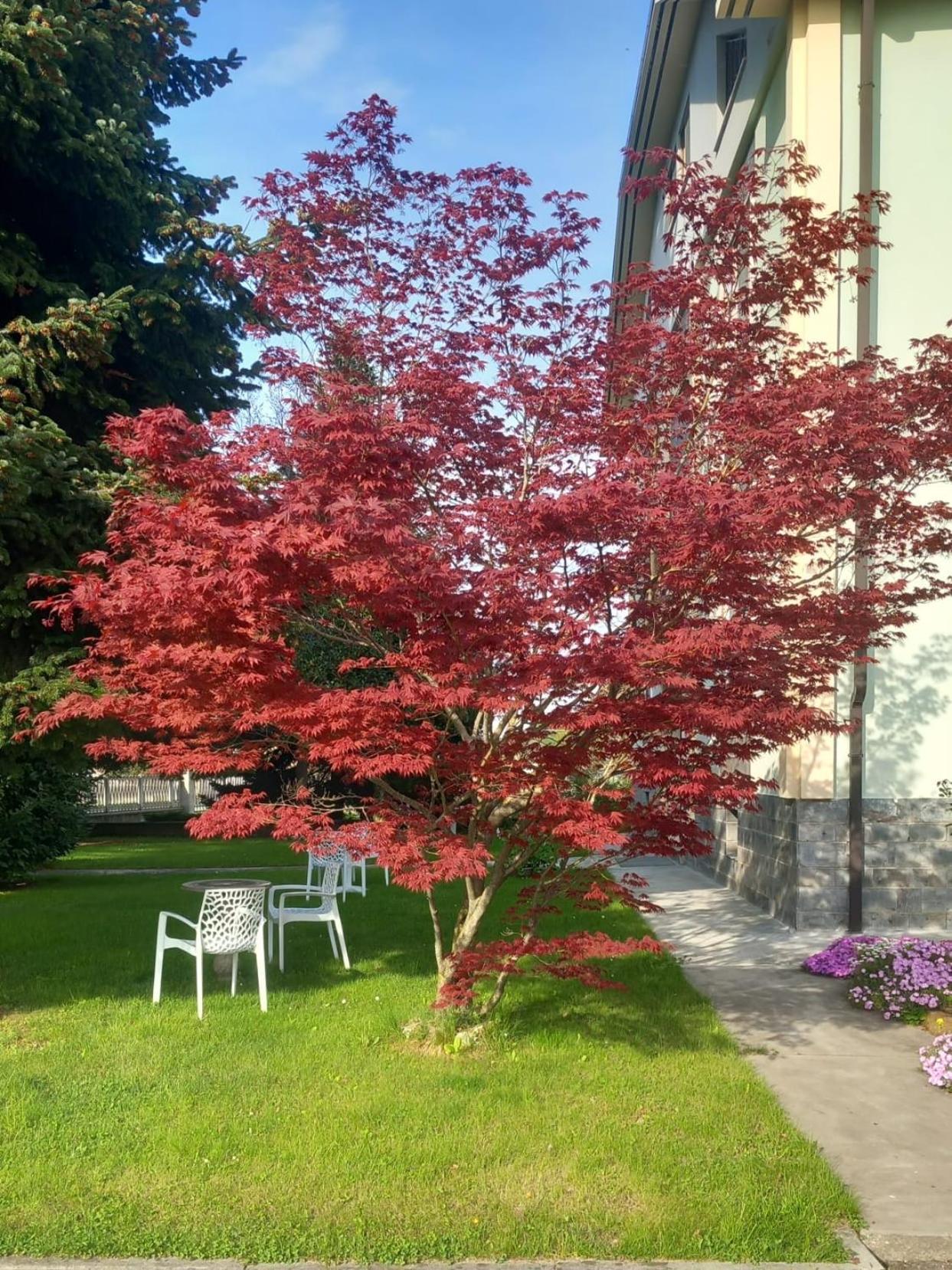 B&B Il Castagno Roccavione Bagian luar foto